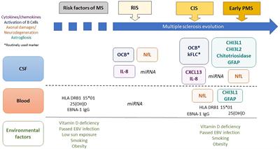 Biological Markers in Early Multiple Sclerosis: the Paved Way for Radiologically Isolated Syndrome